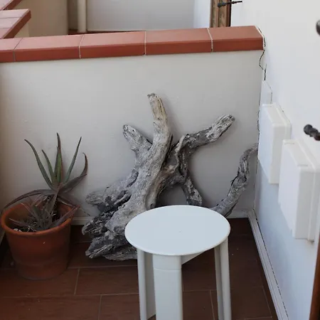 Casa Delle Rose * קאלה גונונה