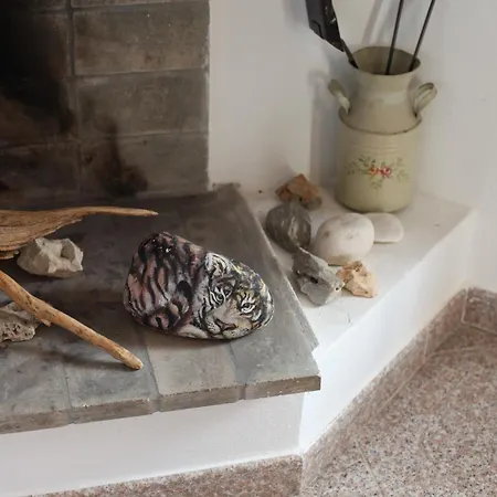 Casa Delle Rose Appartement